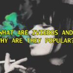 What Are Zviedo and Why Are They Popular?