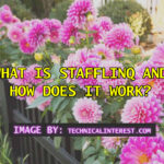 What Is Stafflinq and How Does It Work?