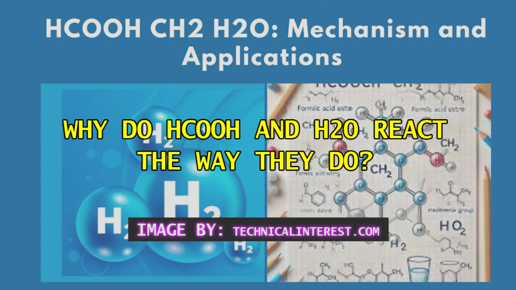 Why Do HCOOH and H2O React the Way They Do?