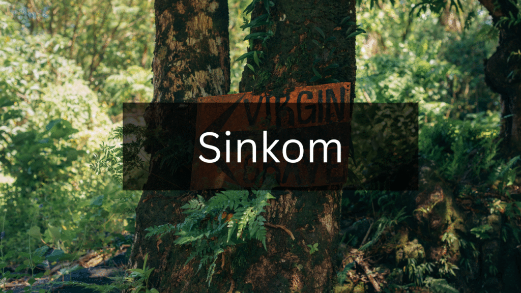 The Ultimate Guide to Understanding Sinkom