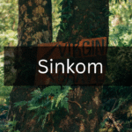 The Ultimate Guide to Understanding Sinkom