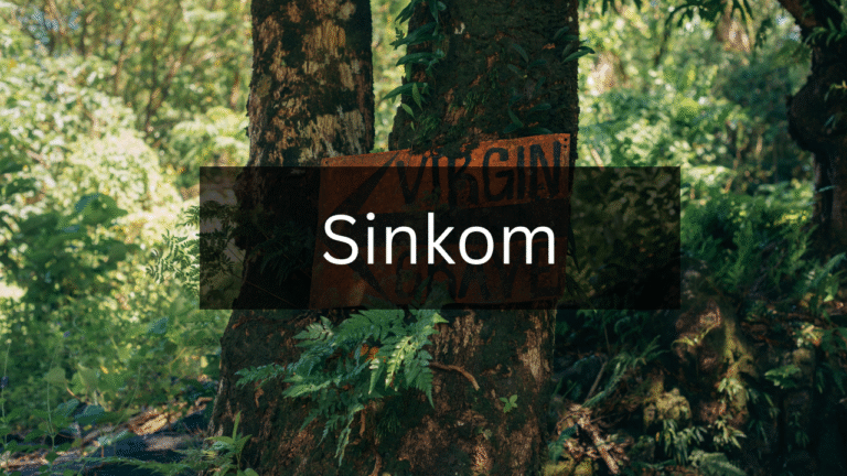 The Ultimate Guide to Understanding Sinkom