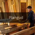 A Comprehensive Guide to Plangud: What You Need to Know