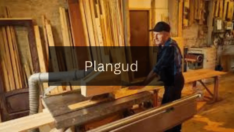 A Comprehensive Guide to Plangud: What You Need to Know