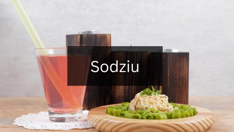 How to Prepare Delicious Dishes with Sodziu