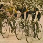 Sylveer vs. Competitors: What You Need to Know