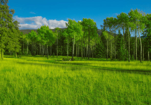 The Environmental Benefits of Using Sodiceram