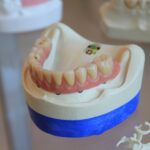 A Comprehensive Guide to Nerovet AI Dentistry
