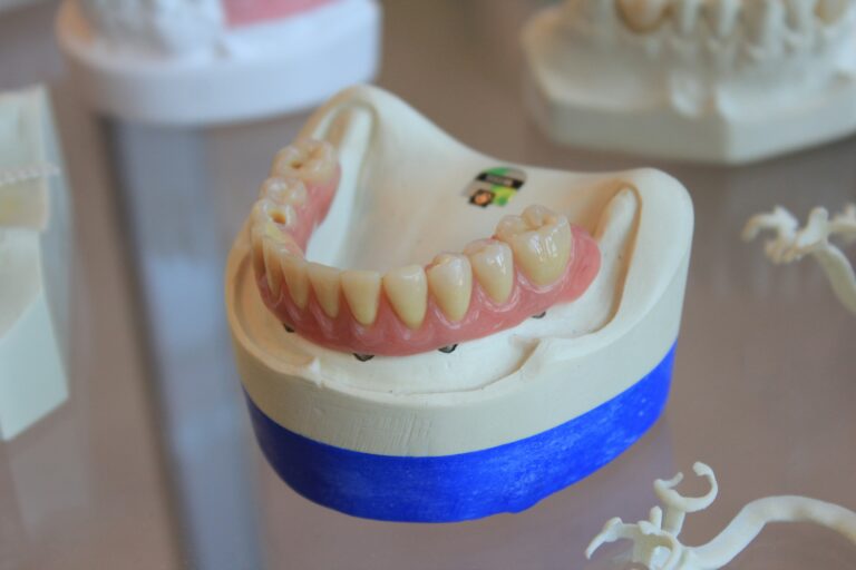 A Comprehensive Guide to Nerovet AI Dentistry