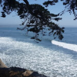 What Is PleasurePoint and Why Is It So Popular?