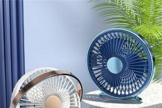 Exploring the Unique Features of Fanquer