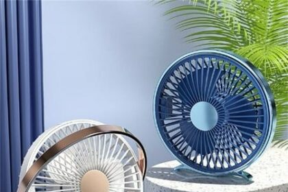 Exploring the Unique Features of Fanquer