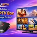 Guru IPTV Offers a Reliable Indian IPTV Box for Multi-Language Content